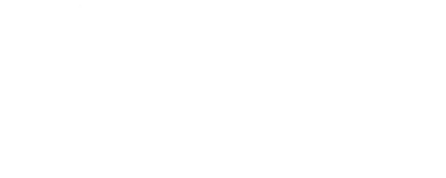 ALUZ