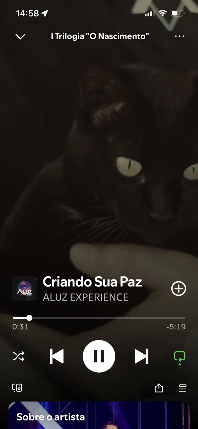 Criando Sua Paz no Spotify, com a cena do gato ao fundo